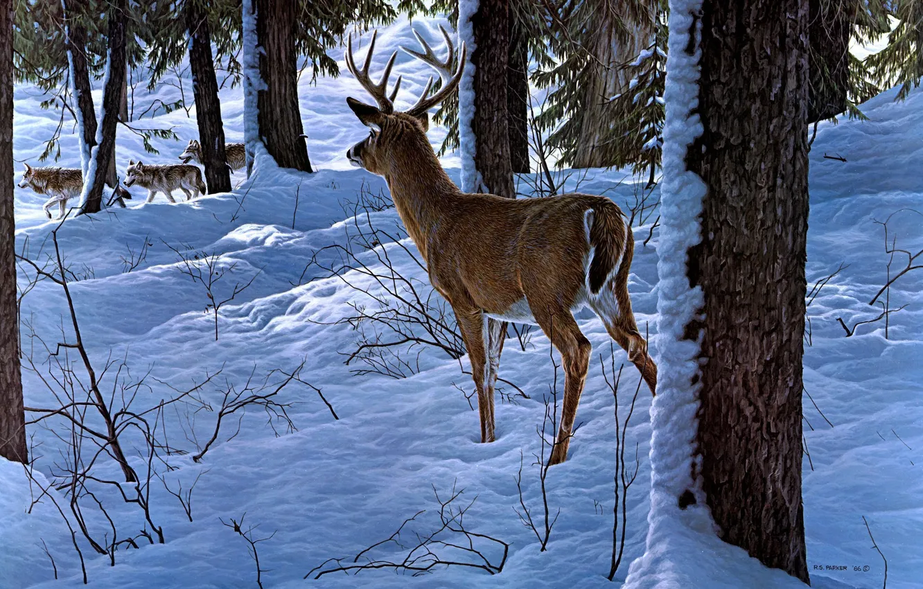 Photo wallpaper winter, forest, snow, wolf, deer, art, Ron S. Parker