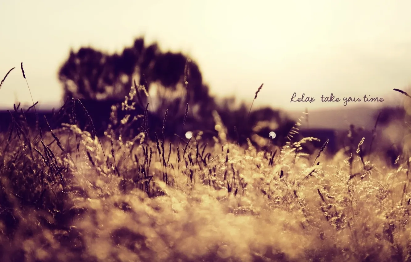 Photo wallpaper nature, calm, relax