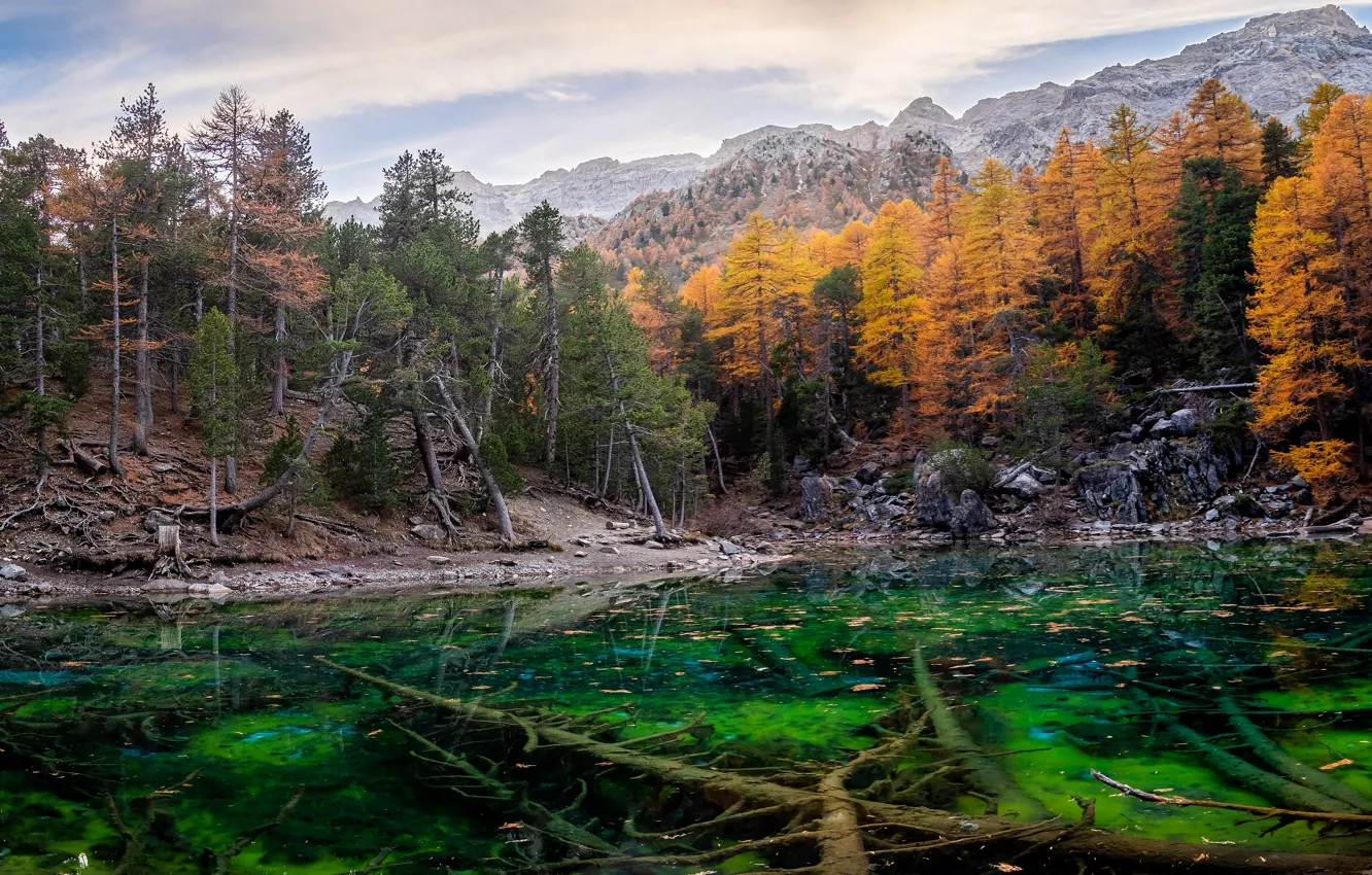 Photo wallpaper autumn, forest, mountains, lake, stones, shore, tops, the bottom