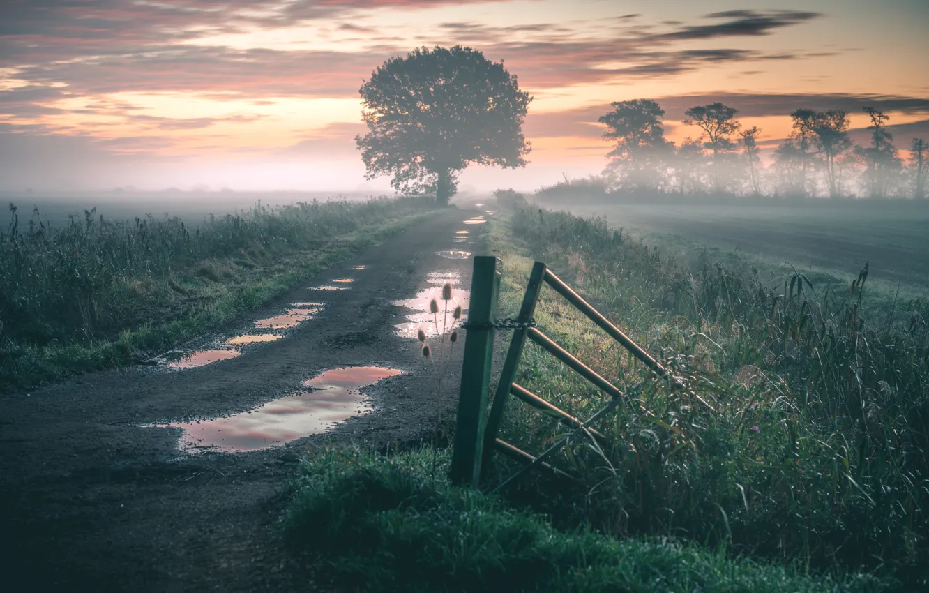 Photo wallpaper road, field, fog, morning, puddle