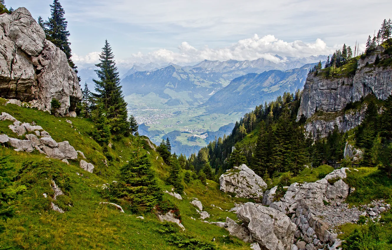 Photo wallpaper the sky, clouds, trees, mountains, stones, rocks, spruce