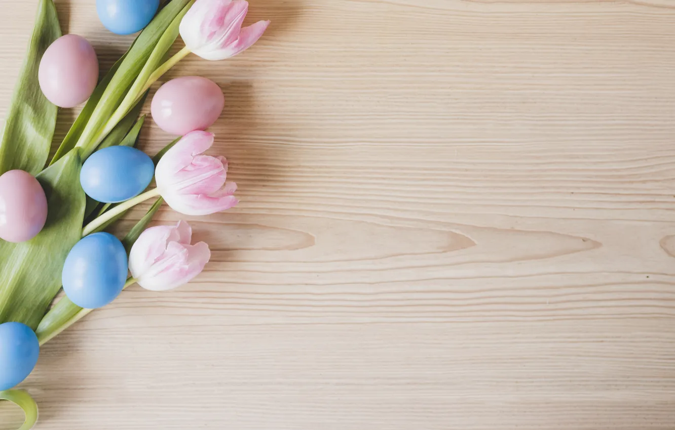 Photo wallpaper flowers, spring, Easter, tulips