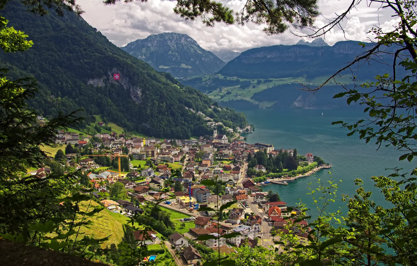 Photo wallpaper mountains, lake, field, Switzerland, panorama, forest, Lake Lucerne, Gersau