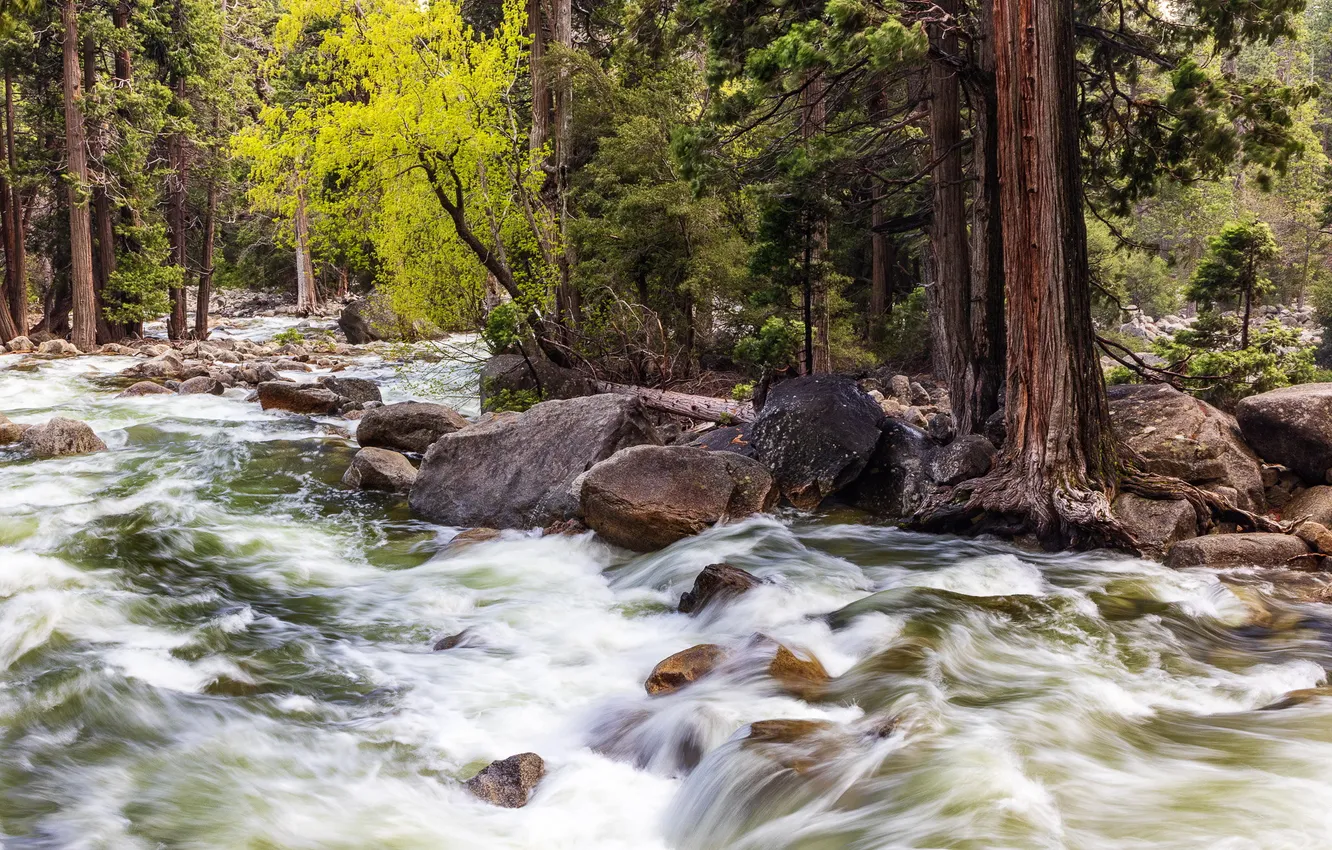 Photo wallpaper United States, California, Yosemite Village