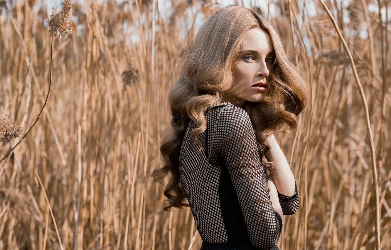 Photo wallpaper makeup, sponge, Alexandra Petrowa, Sasha Petrov