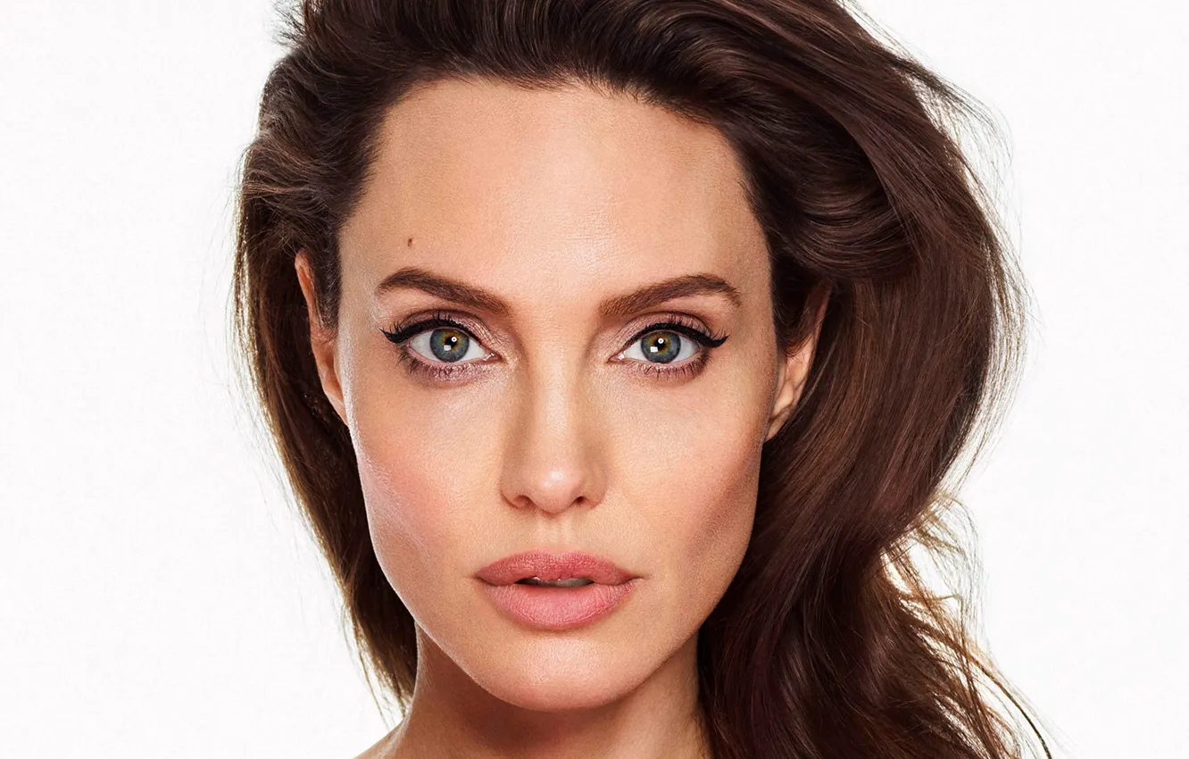 Photo wallpaper portrait, actress, Angelina Jolie, Angelina Jolie, white background, brown hair, beauty