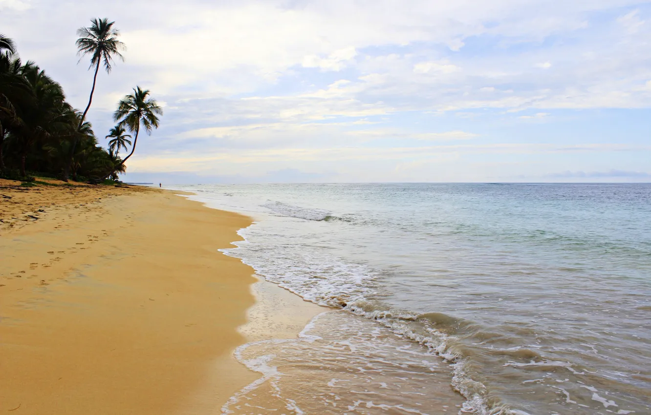 Photo wallpaper sand, palm trees, the ocean, surf, Dominican Republic, Dominican Republic
