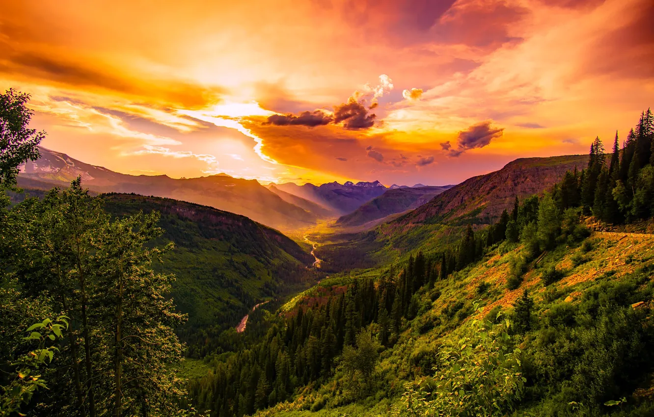 Photo wallpaper forest, the sky, clouds, sunset, mountains, Montana, USA, Montana
