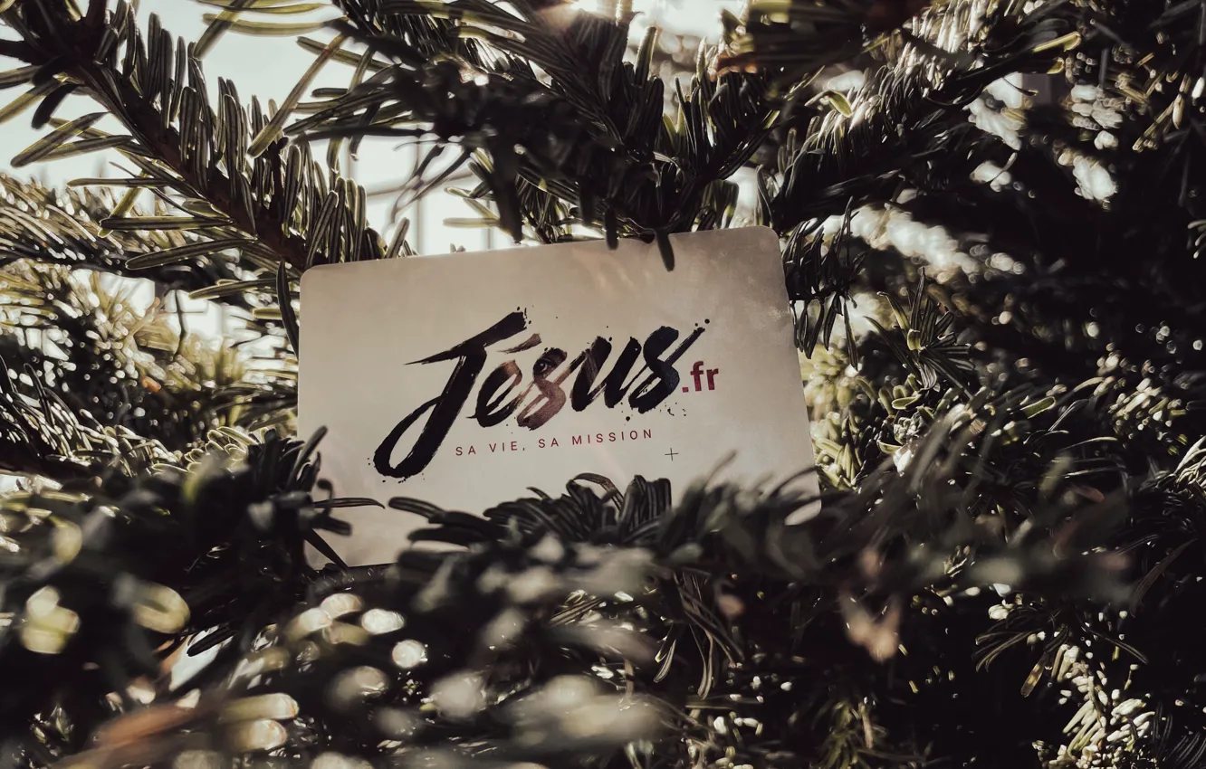 Photo wallpaper love, tree, holiday, God, Christmas tree, Christmas Eve, Jesus, Jametlene Reskp