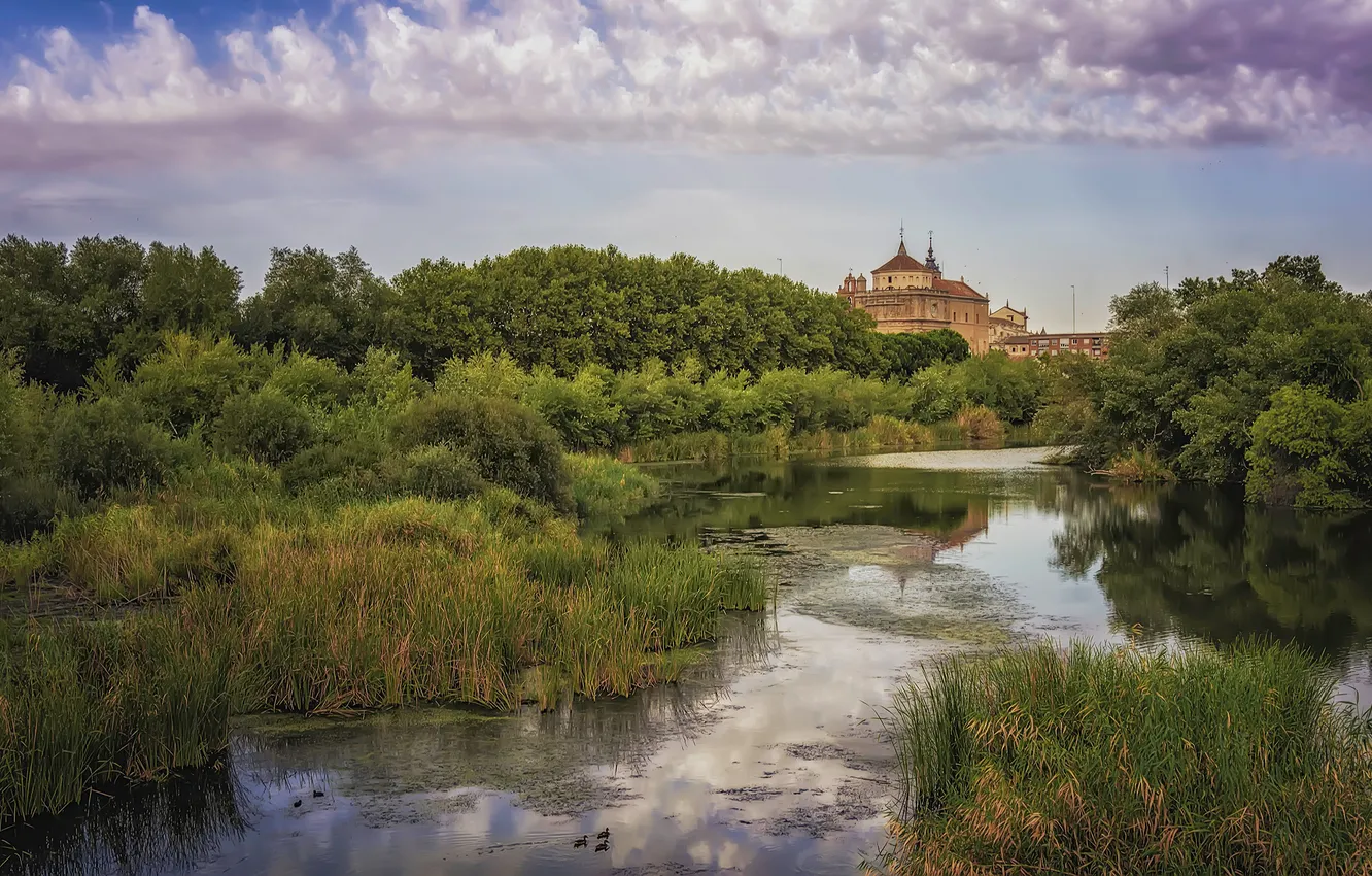 Photo wallpaper greens, forest, summer, the sky, grass, clouds, lake, river