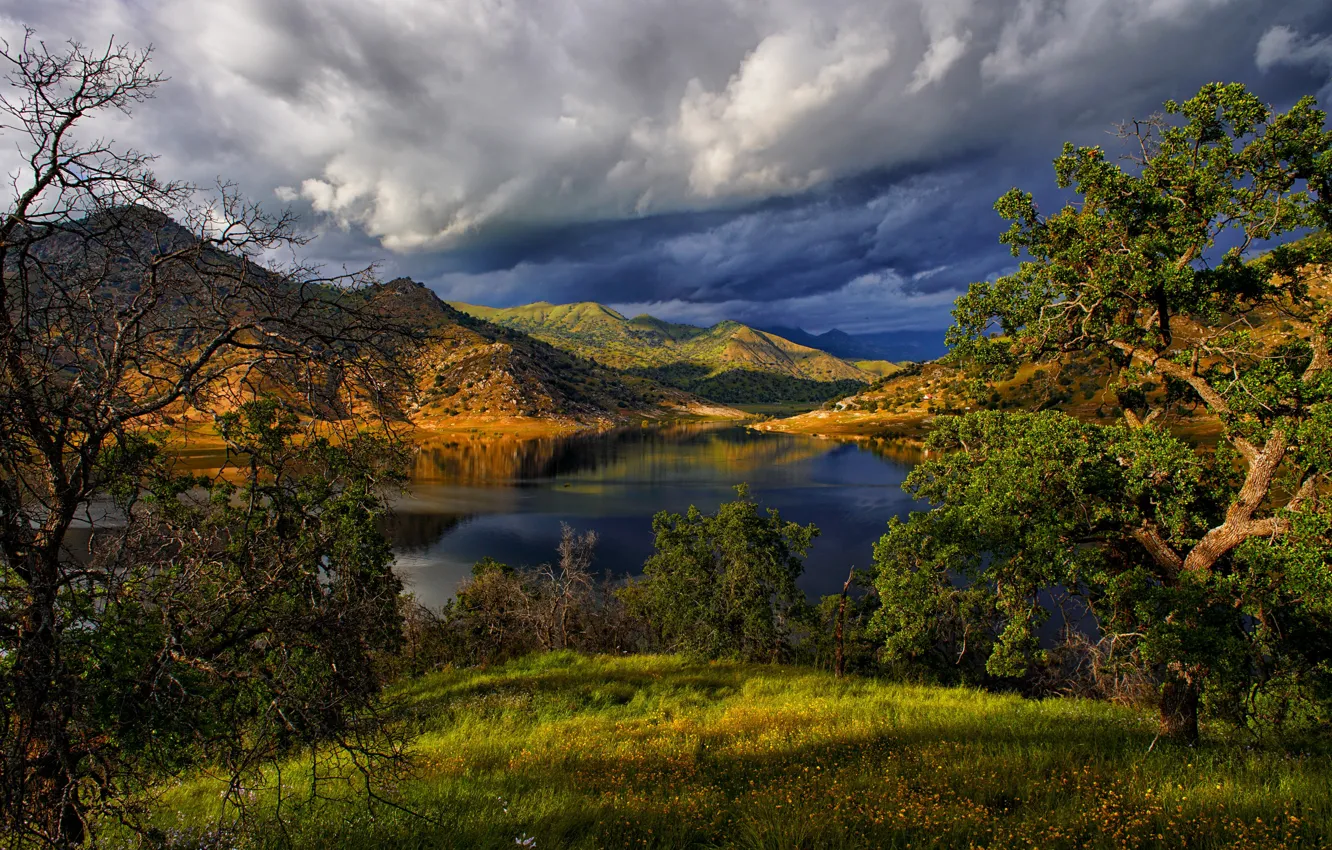 Photo wallpaper CA, USA, Redwood National Park