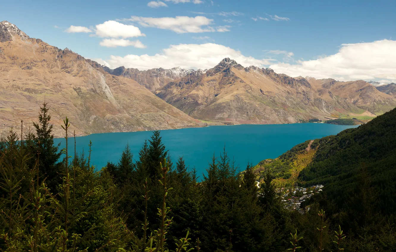 Photo wallpaper forest, clouds, trees, mountains, lake, New Zealand, panorama, Wakatipu