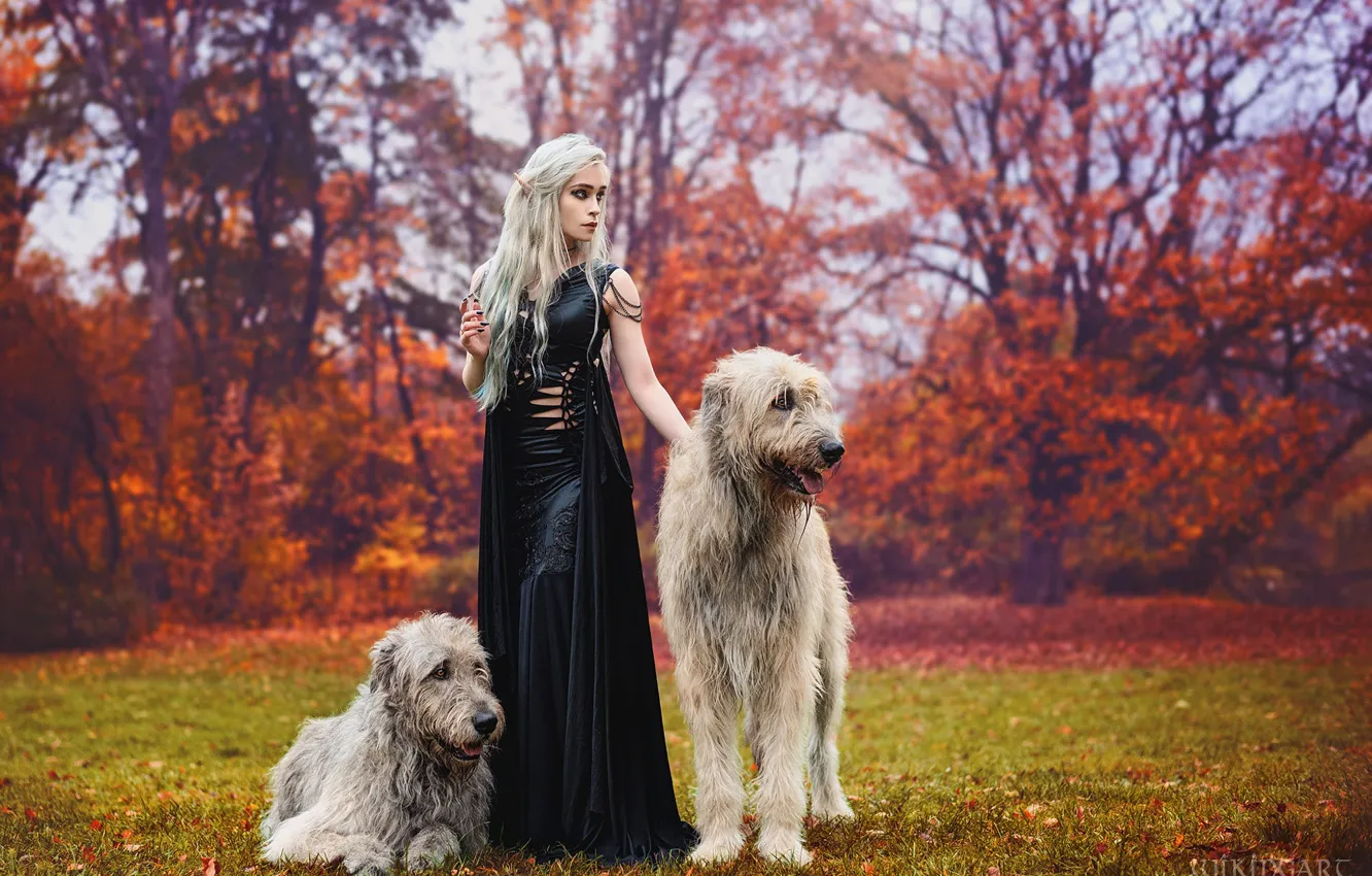 Photo wallpaper autumn, forest, girl, nature, pose, style, dog, makeup