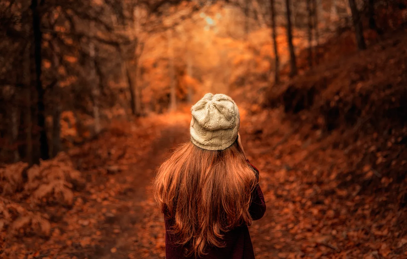 Photo wallpaper autumn, leaves, girl, Dream Chaser