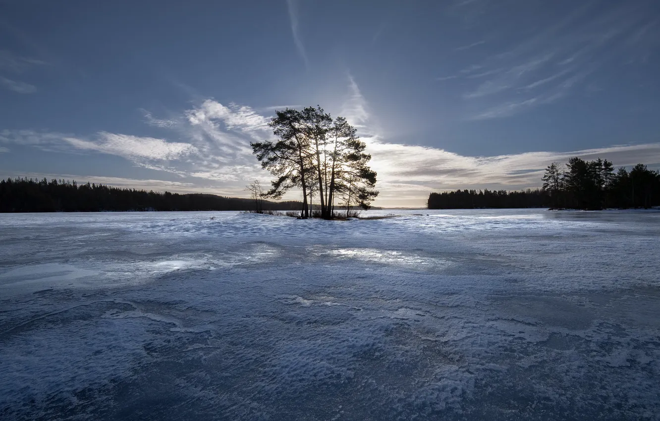 Photo wallpaper ice, winter, the sky, trees, island, Finland, Finland, Lake Cariari