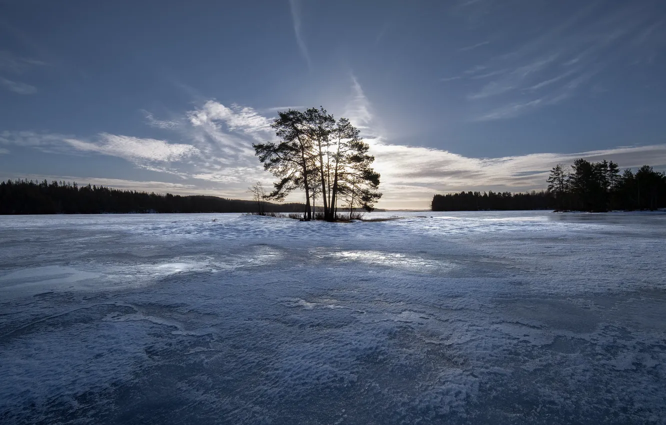 Photo wallpaper winter, the sky, trees, ice, island, Finland, Finland, Lake Cariari