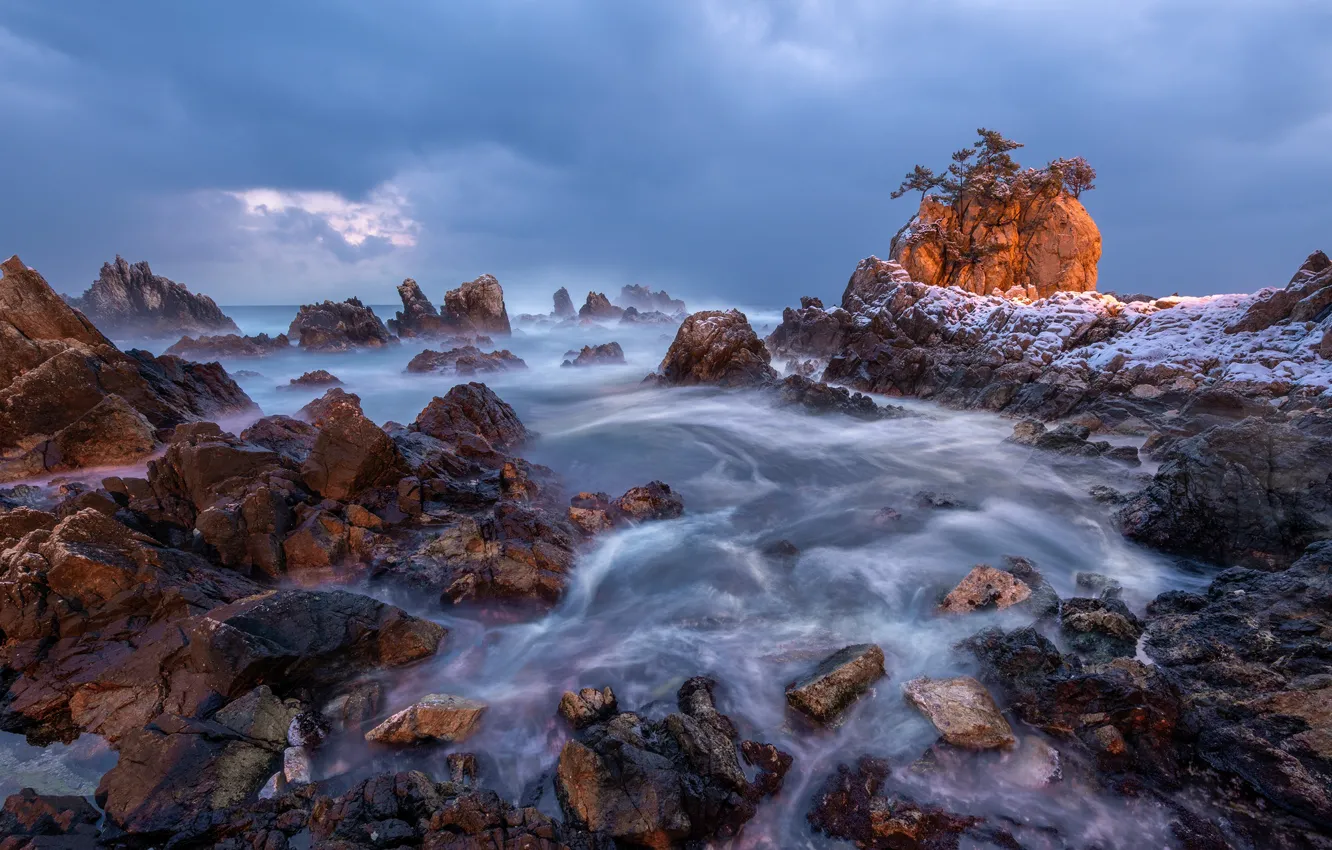 Photo wallpaper winter, sea, snow, trees, landscape, clouds, nature, stones