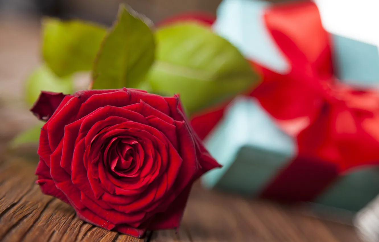 Photo wallpaper rose, red, love, rose, romantic, gift, valentine`s day