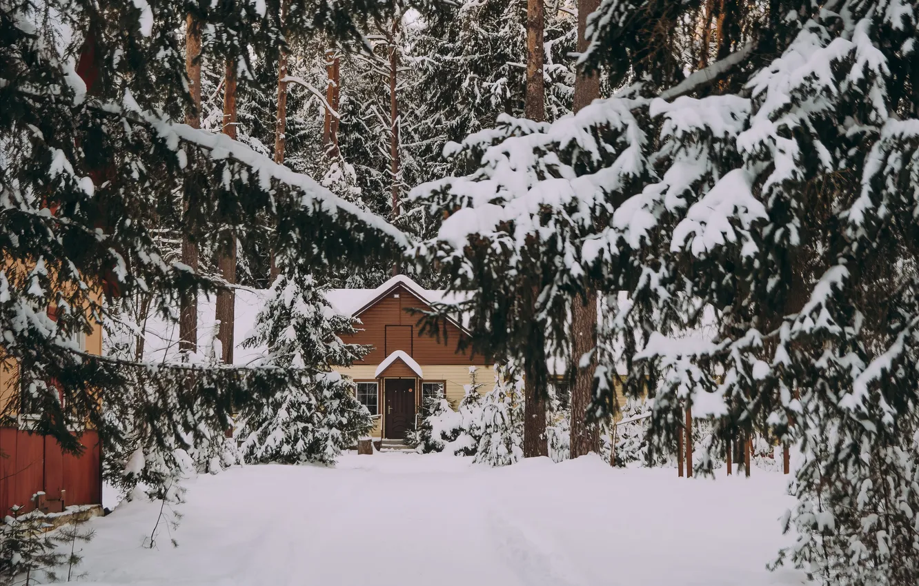 Photo wallpaper nature, house, house, nature, Snow trees, winter forest, Winter Forest, Snow Trees