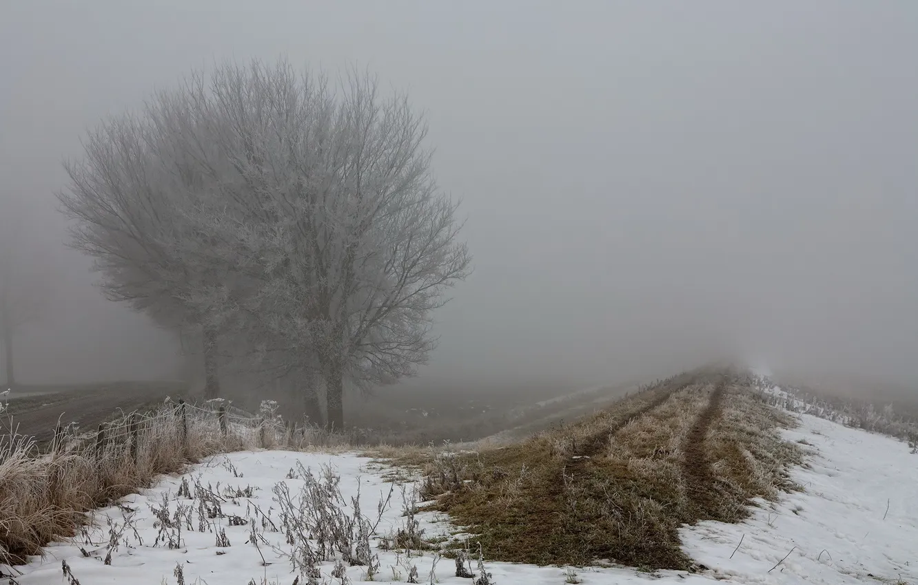 Photo wallpaper field, autumn, fog, the fence