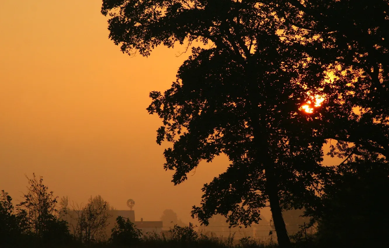 Photo wallpaper landscape, sunset, the city, the evening, sunlight