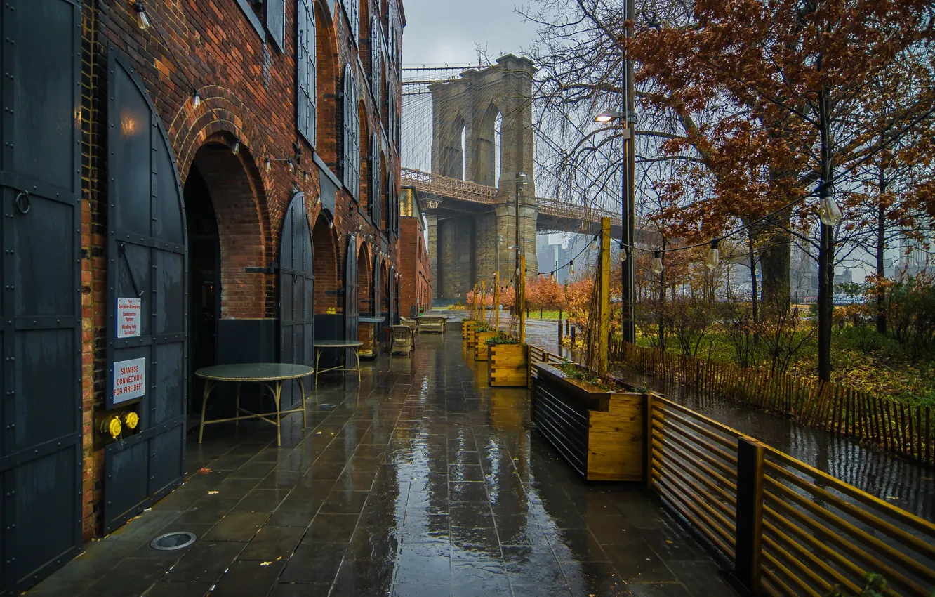 Photo wallpaper autumn, bridge, rain, tree, New York, cafe, Brooklyn bridge, New York City