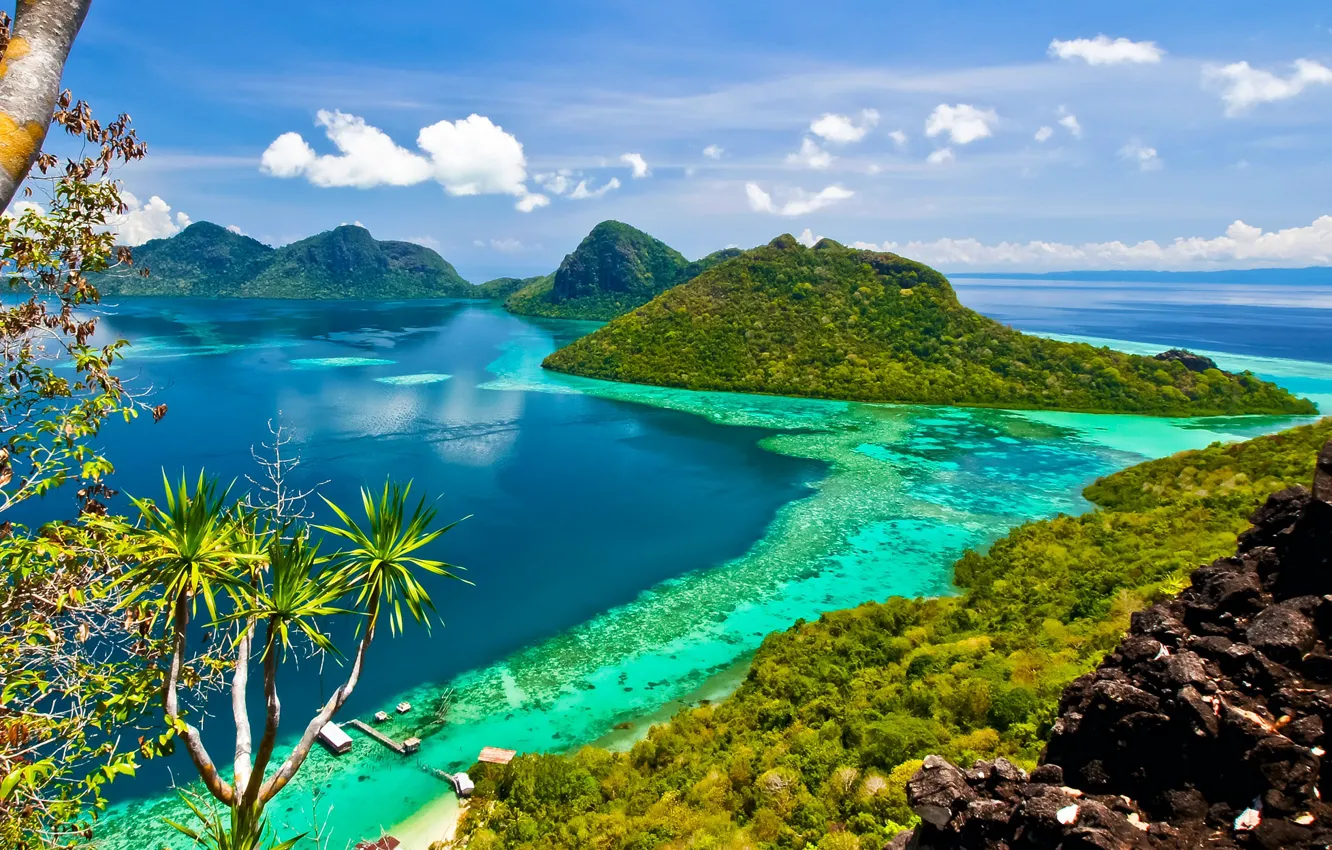 Photo wallpaper sea, palm trees, rocks, Malaysia, Borneo