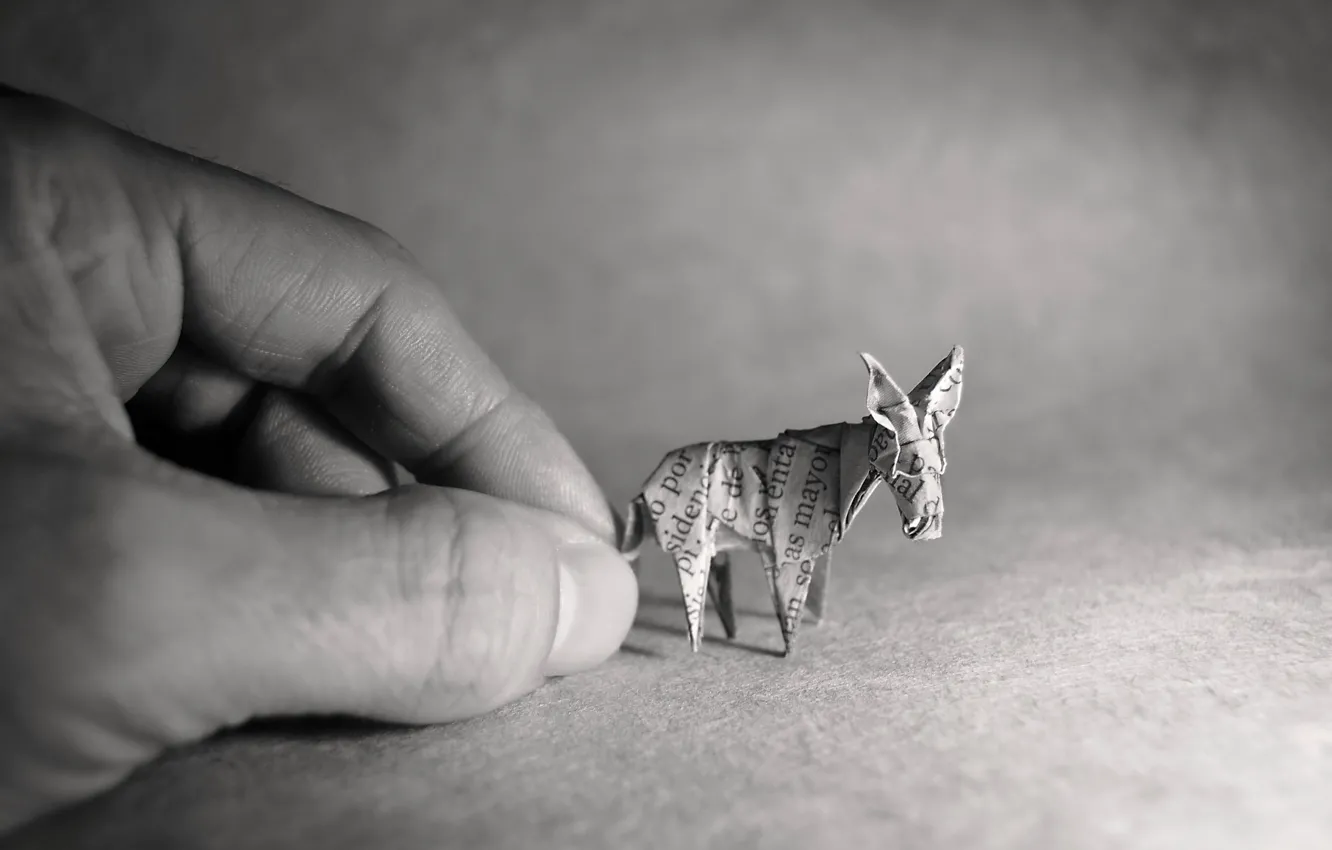 Photo wallpaper hand, origami, donkey