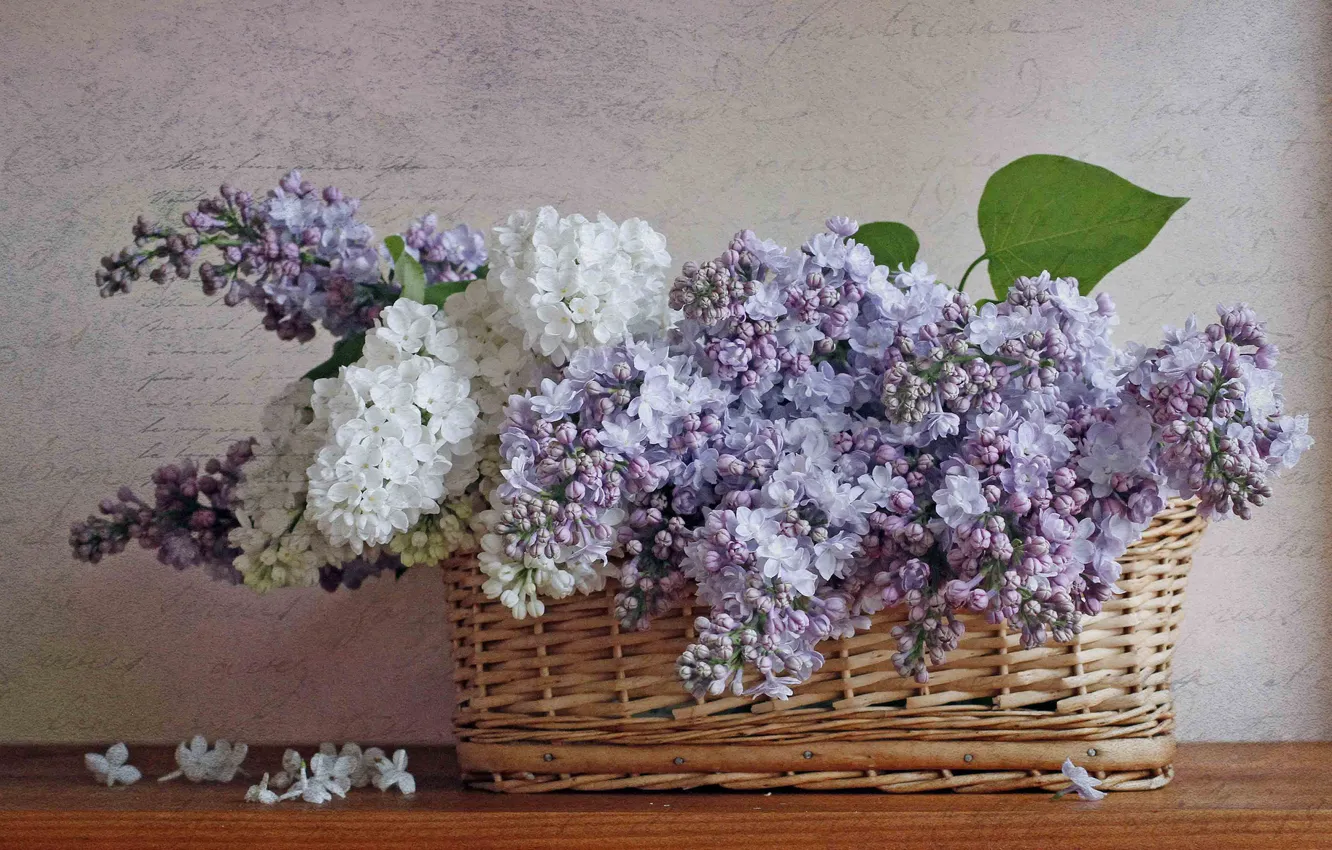 Photo wallpaper basket, still life, gently, lilac