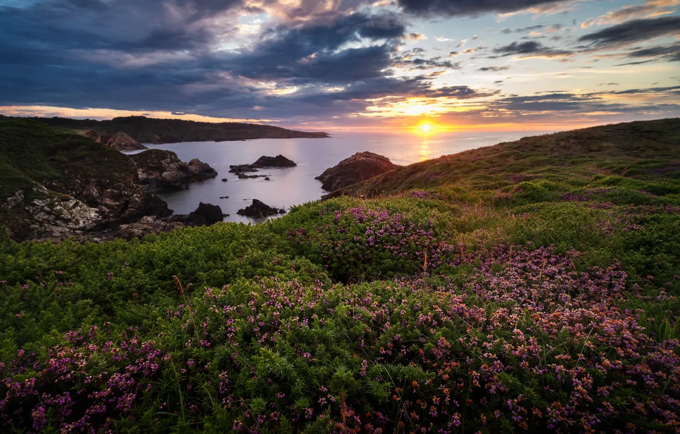 Photo wallpaper sea, sunset, flowers, rocks, coast, Spain, Spain, Asturias