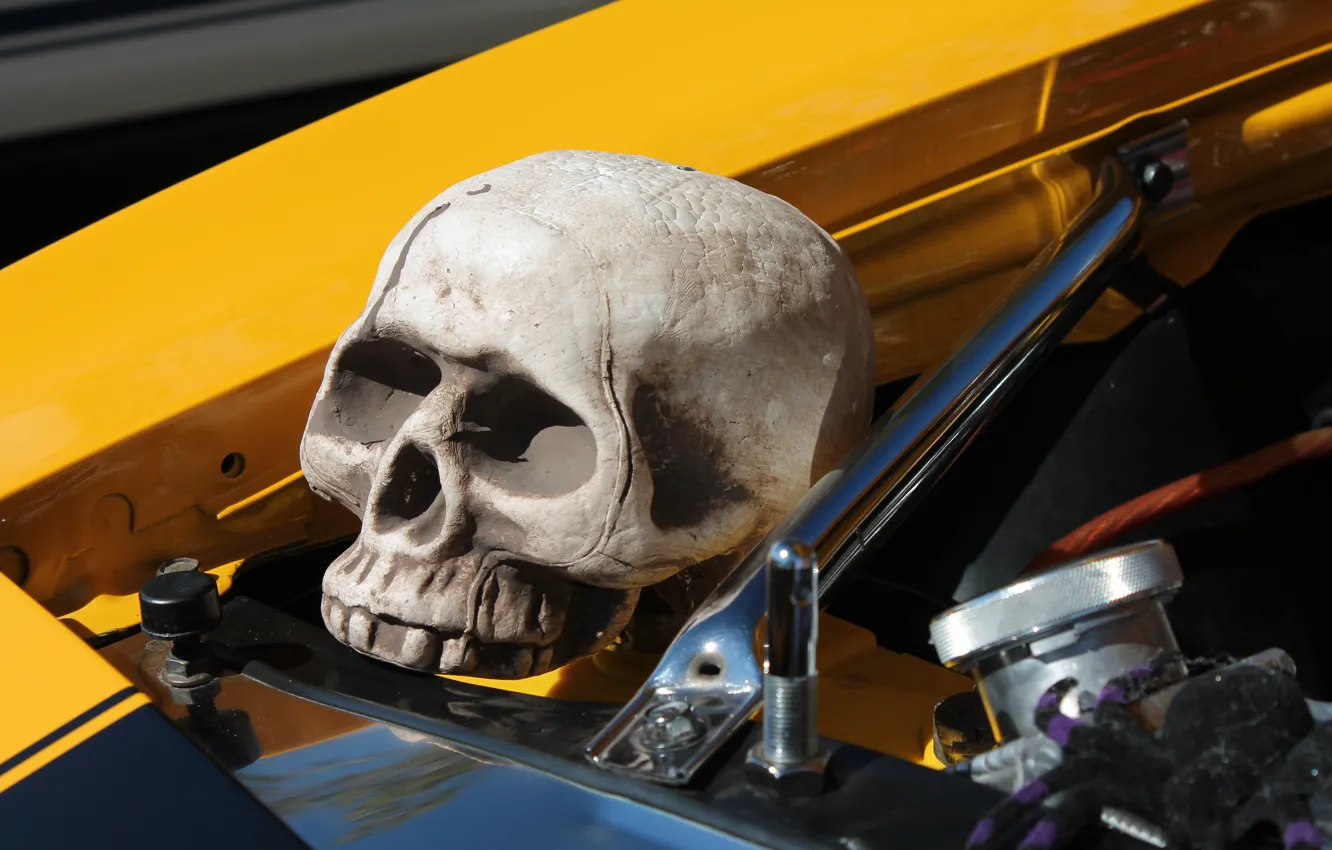 Photo wallpaper auto, engine, skull, head, cars, sake, engine, auto