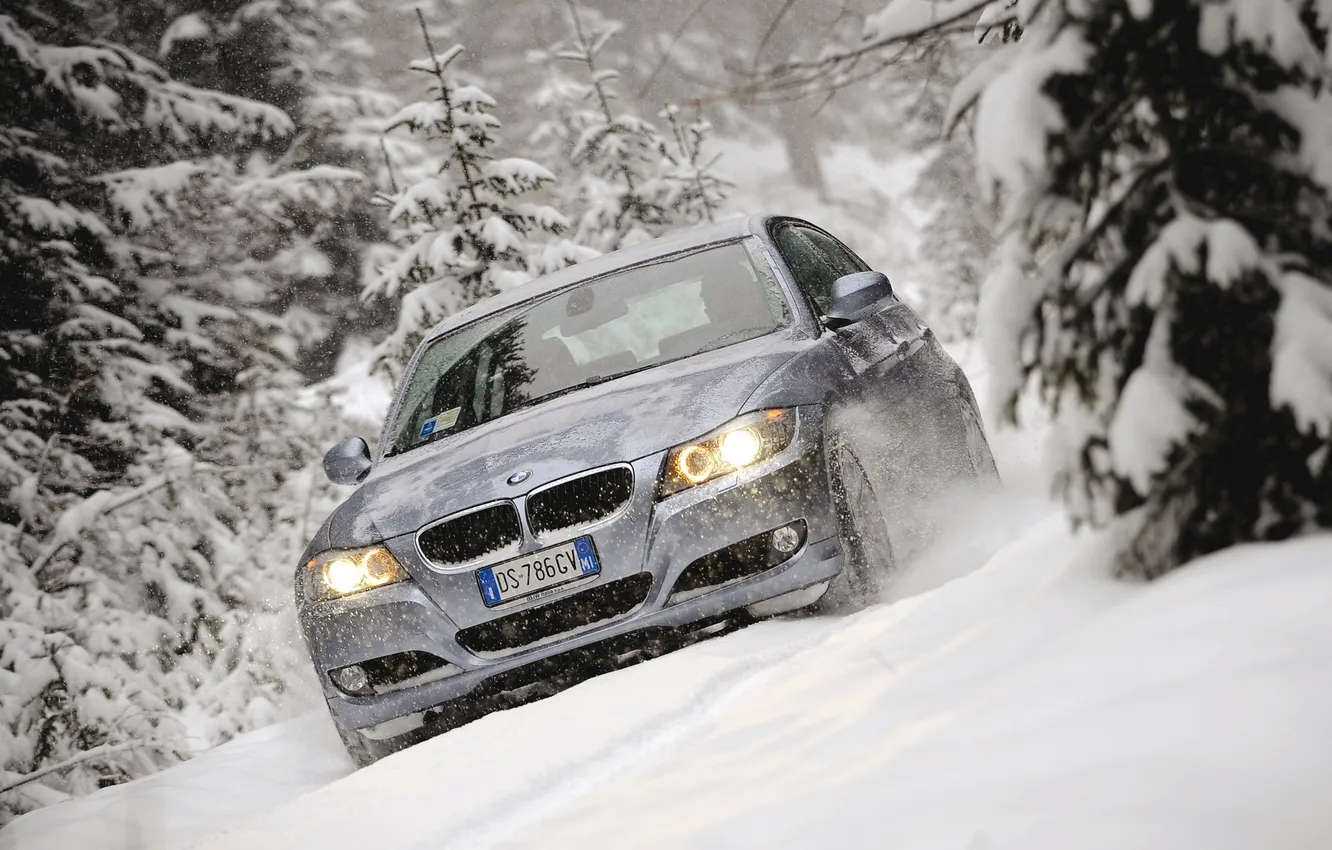 Photo wallpaper snow, tree, BMW, stick, Touring, 320d
