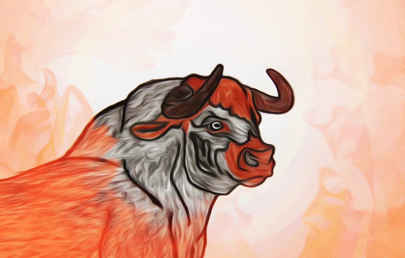 Photo wallpaper figure, picture, bull
