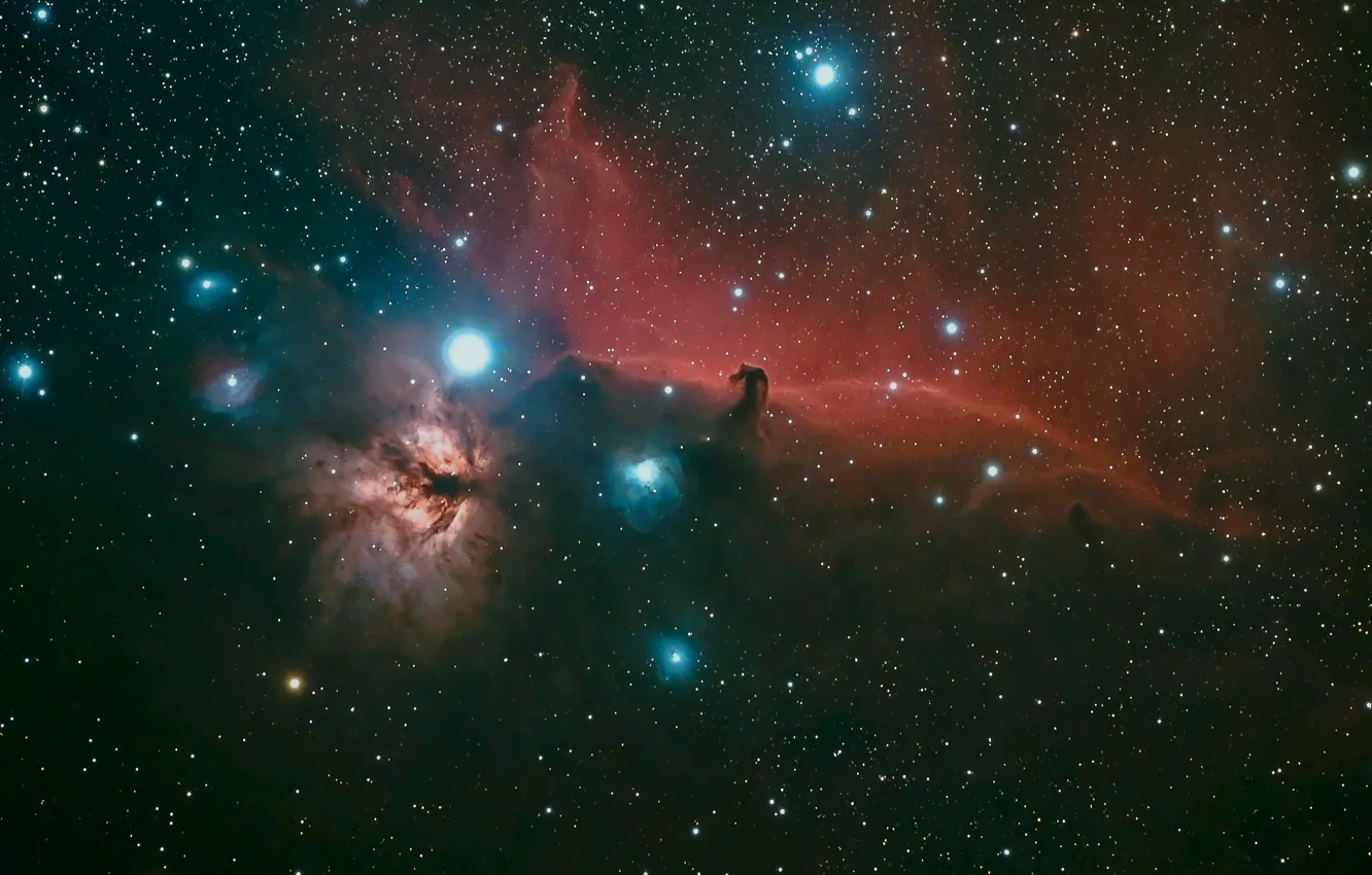 Photo wallpaper space, stars, beauty, Horse Head