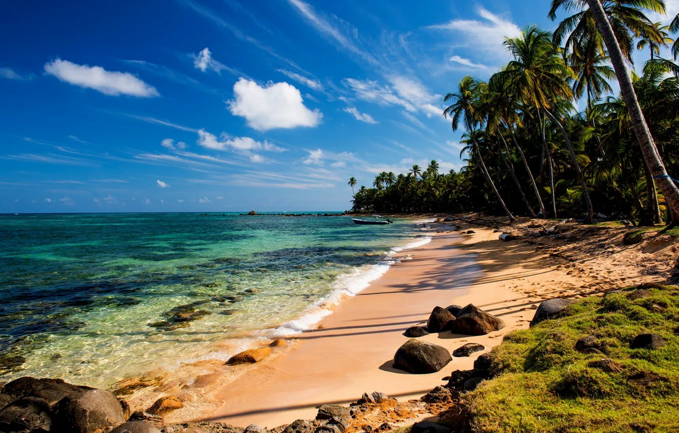 Photo wallpaper sand, sea, beach, tropics, stones, palm trees, moss