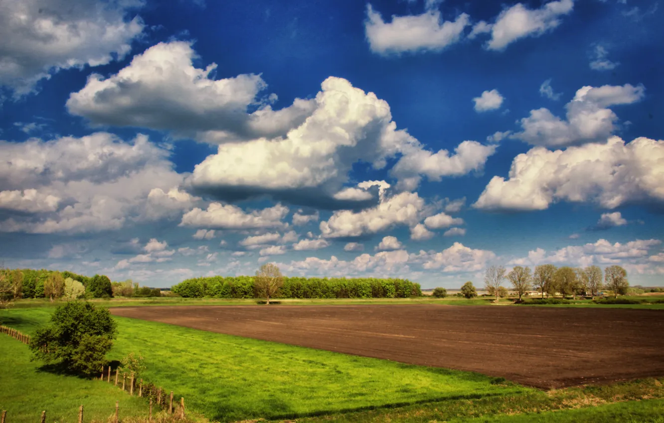 Photo wallpaper field, the sky, clouds, nature, Nature, sky, trees, landscape