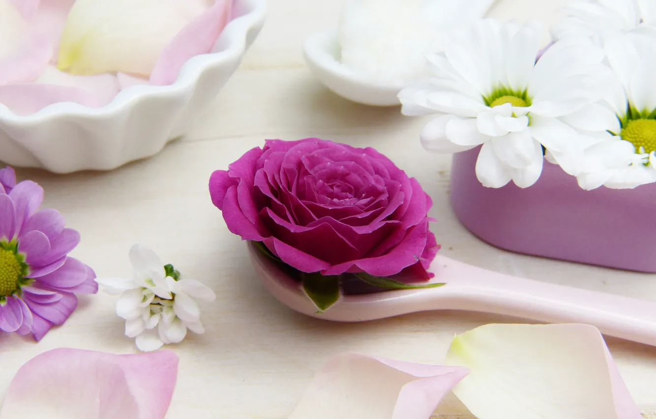 Photo wallpaper flowers, roses, spoon, buds