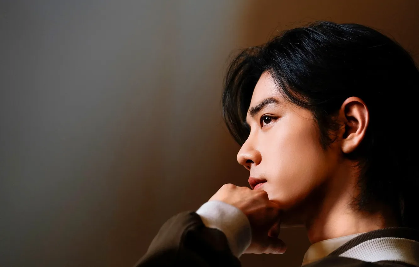 Photo wallpaper profile, Xiao Zhan, Chinese actor