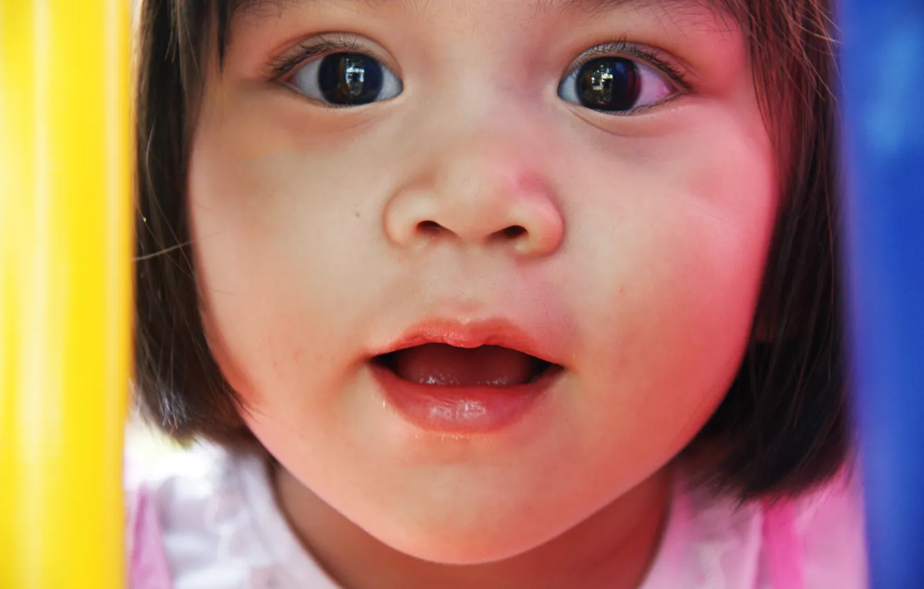 Photo wallpaper look, joy, face, interest, surprise, girl, brown eyes, Portrait of a woman