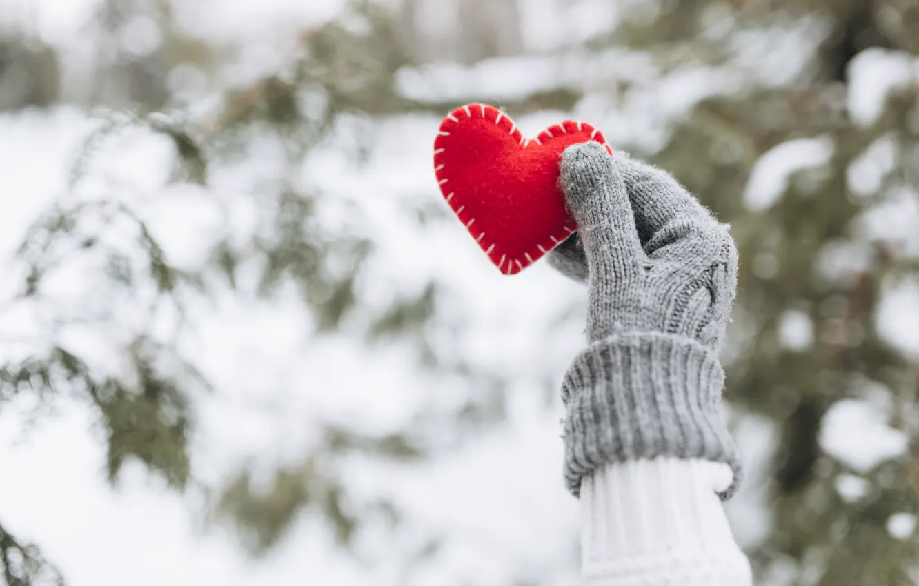 Photo wallpaper winter, snow, love, heart, tree, red, love, heart
