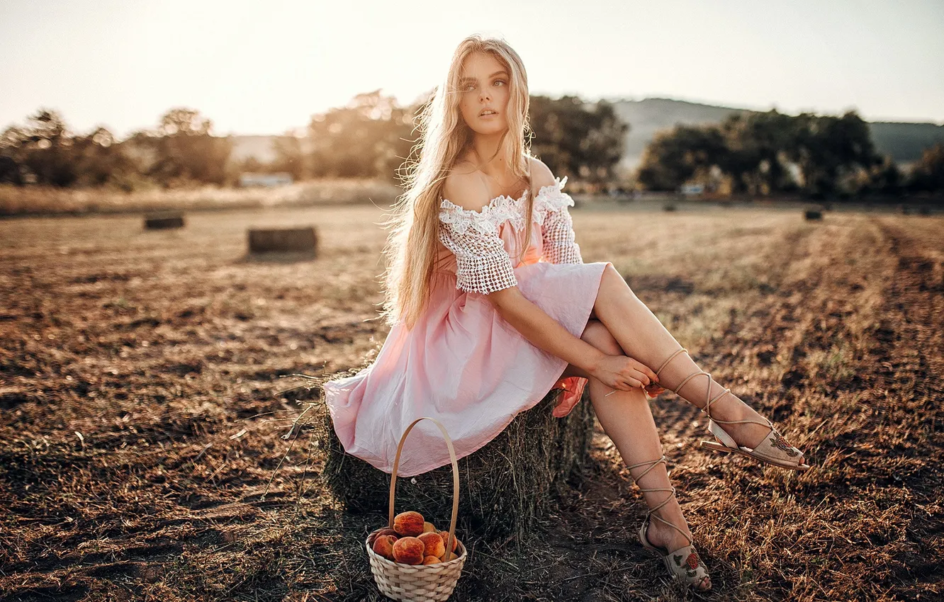 Photo wallpaper wallpaper, girl, field, girls, blonde, picture, posing, Fruit basket