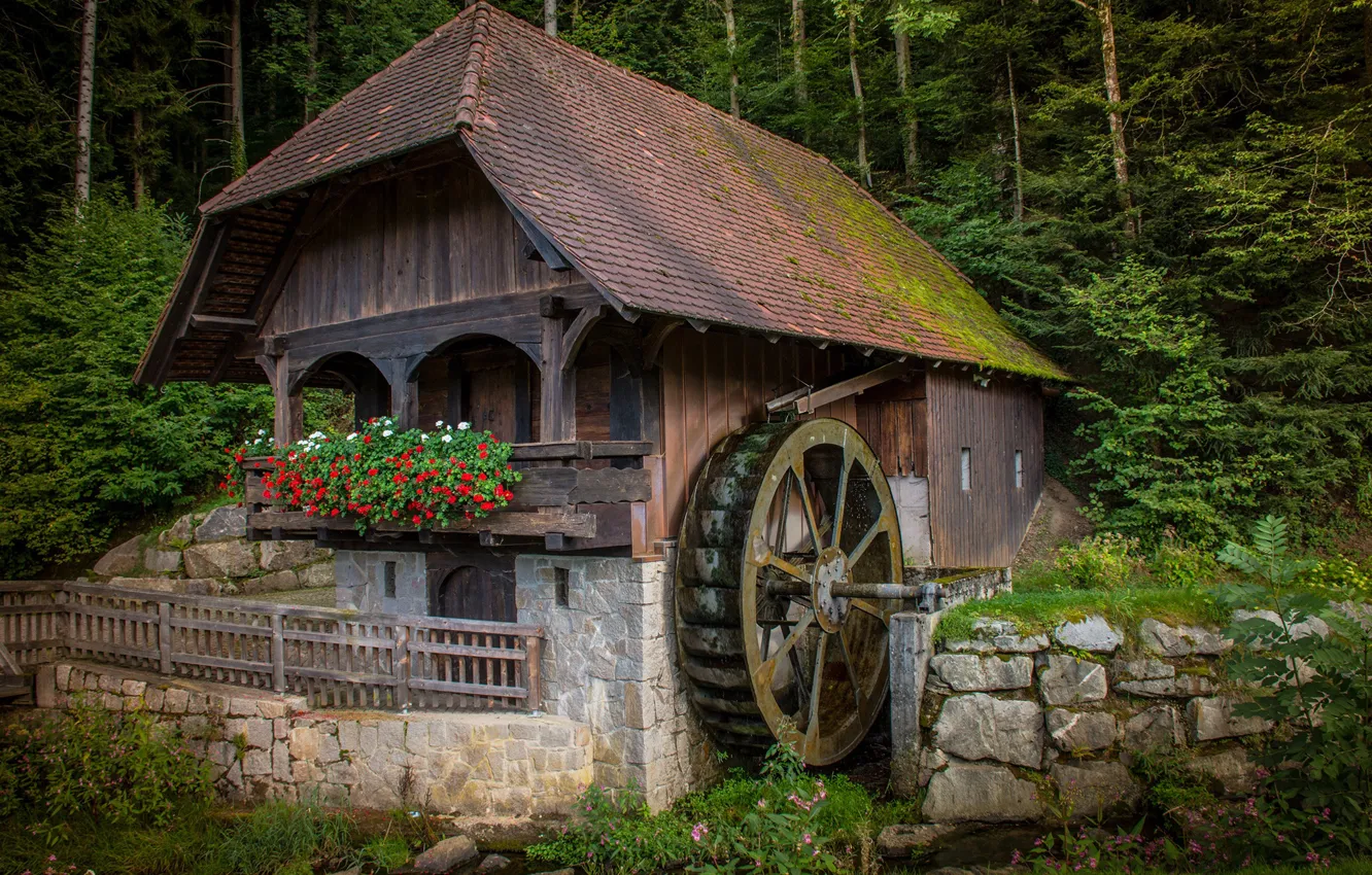 Photo wallpaper forest, flowers, a water mill