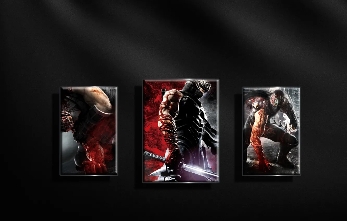 Photo wallpaper the game, texture, Ninja Gaiden3