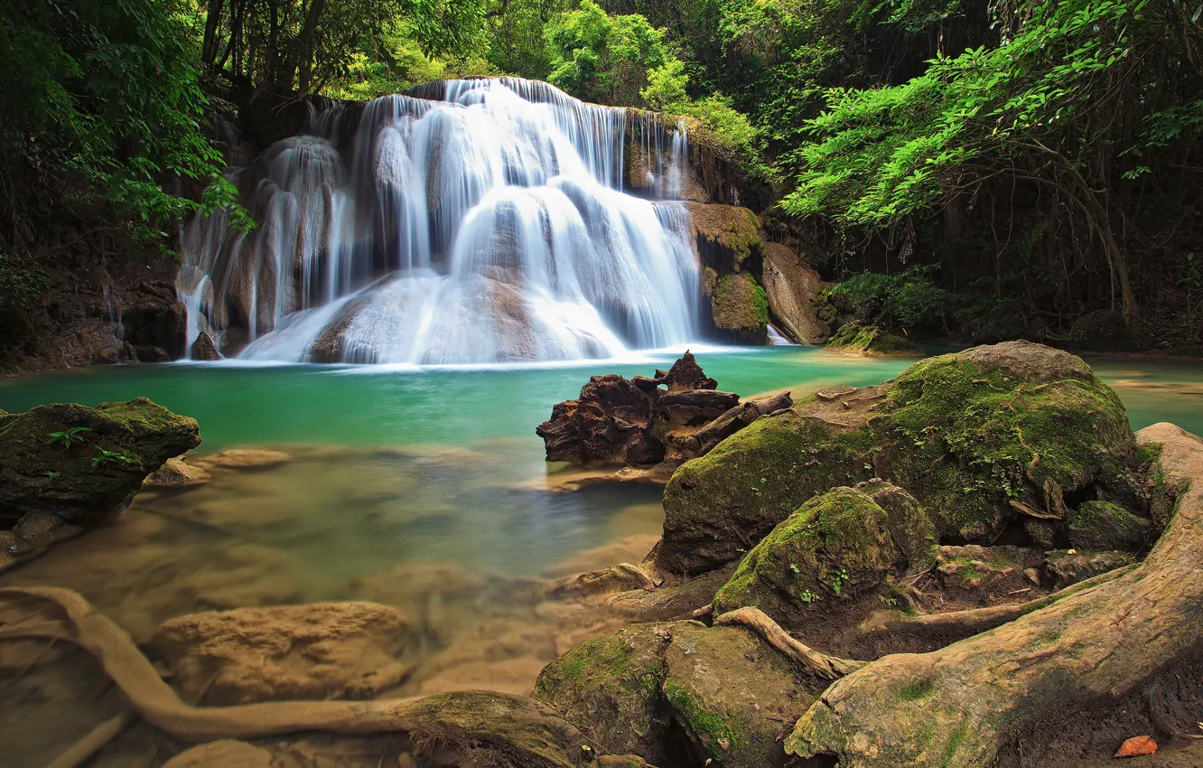 Photo wallpaper greens, forest, trees, tropics, stones, waterfall, Thailand