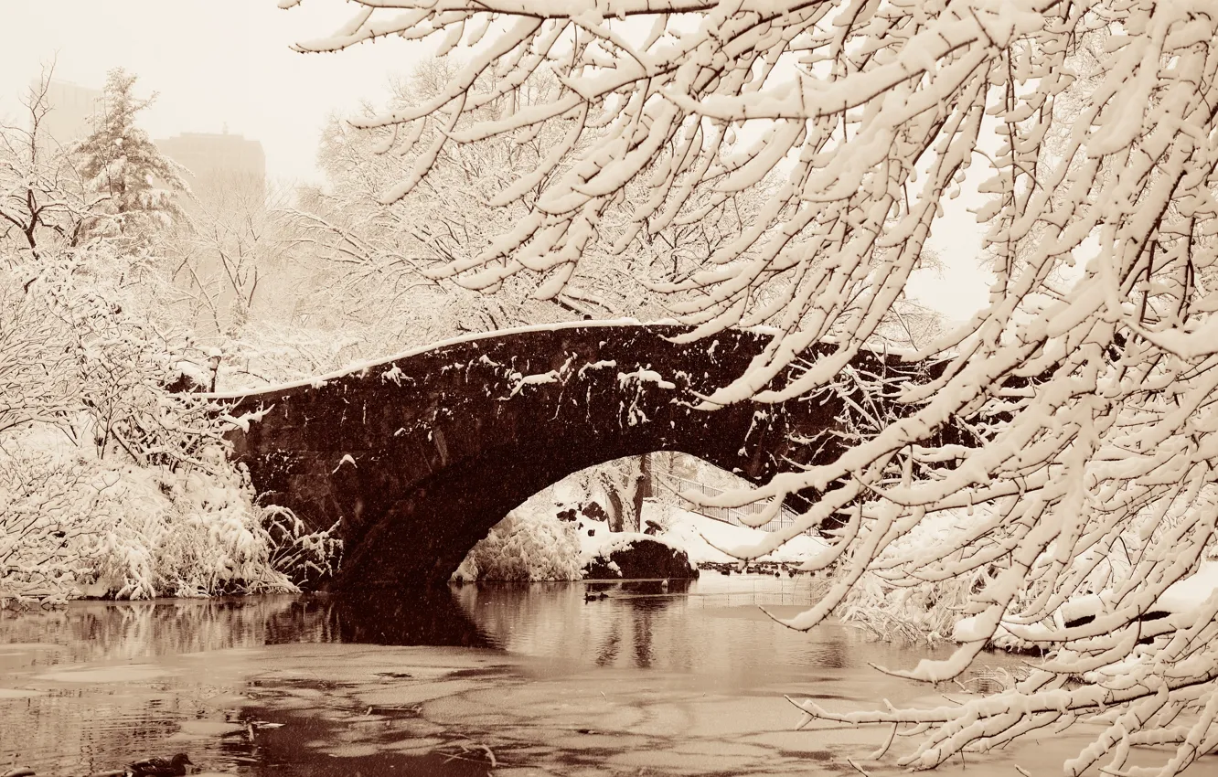 Photo wallpaper winter, snow, trees, bridge, city, Park, Frozen, landscape