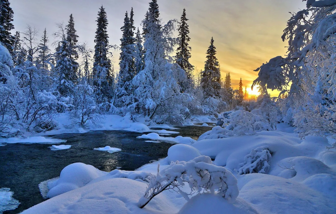 Photo wallpaper winter, forest, the sky, snow, trees, nature, river, spruce