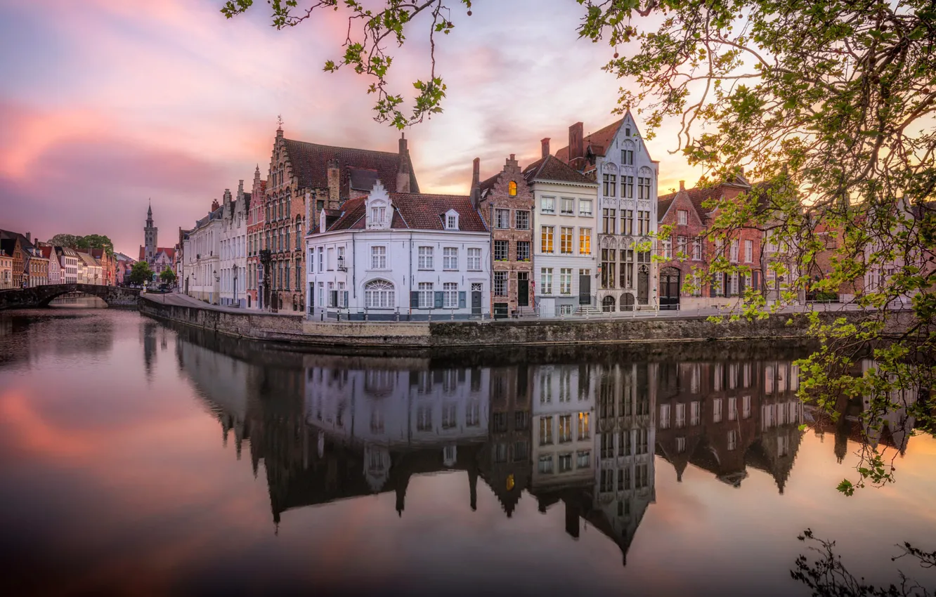 Photo wallpaper clouds, trees, branches, the city, reflection, foliage, building, home