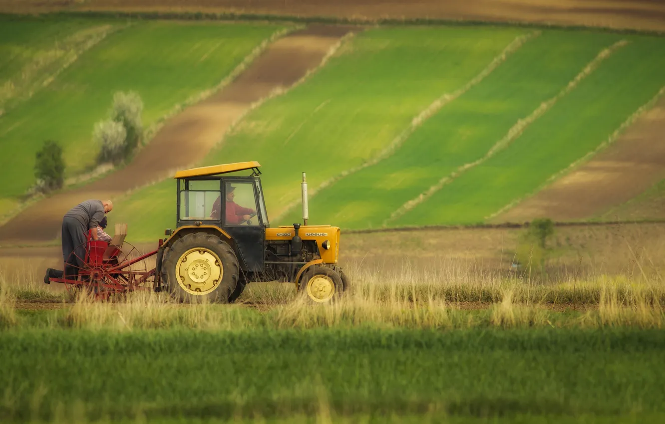 Photo wallpaper field, tractor, country men