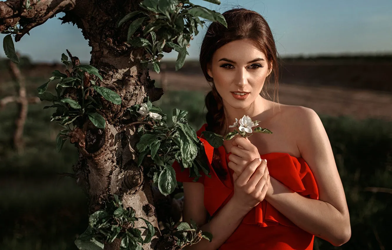 Photo wallpaper sponge, in red, teeth, brown-eyed, Damian Feather, Blooming May