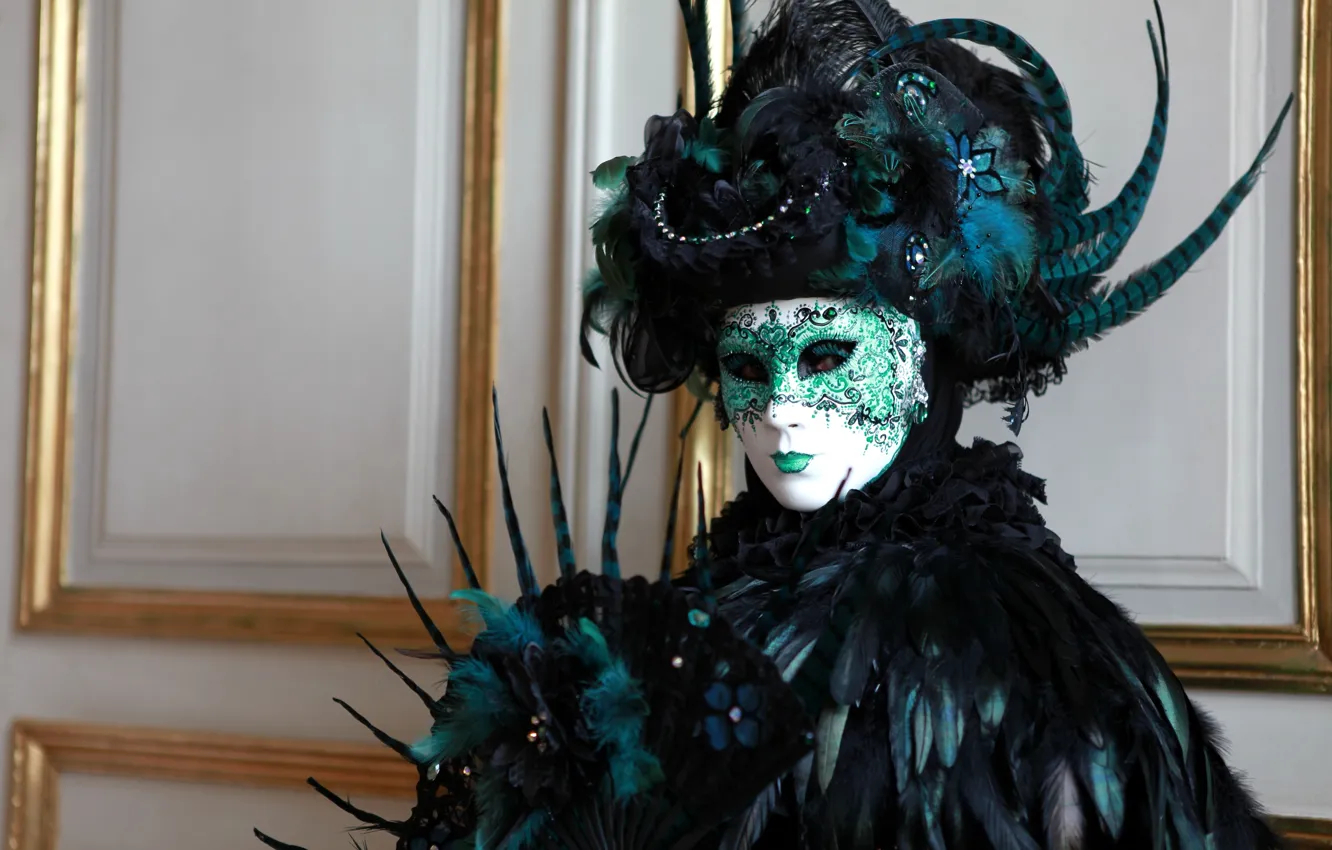 Photo wallpaper feathers, mask, carnival